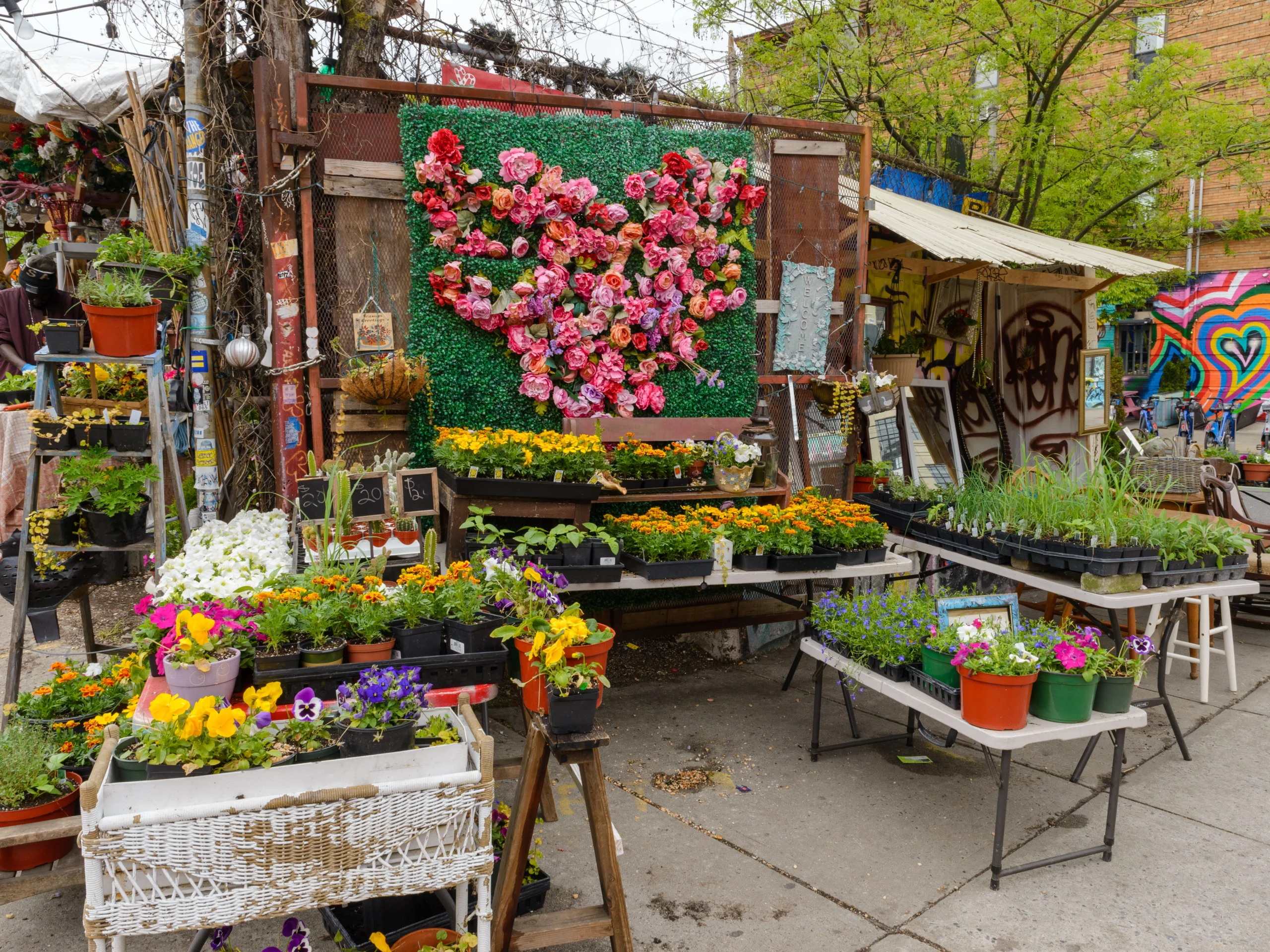 Plants and flowers on Brooklyn, Bronx, Queens Bus Tour