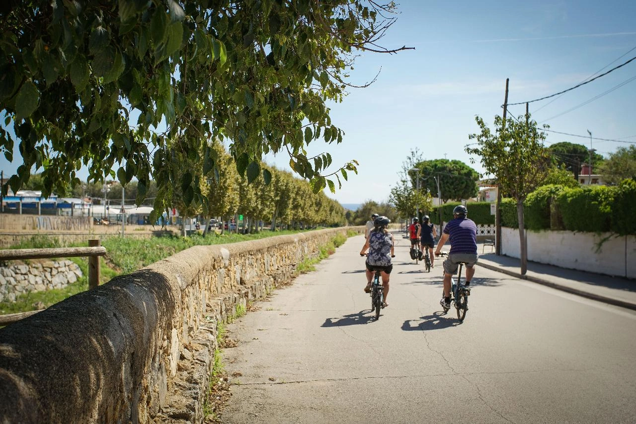 View of guests cycling in Alella wine region