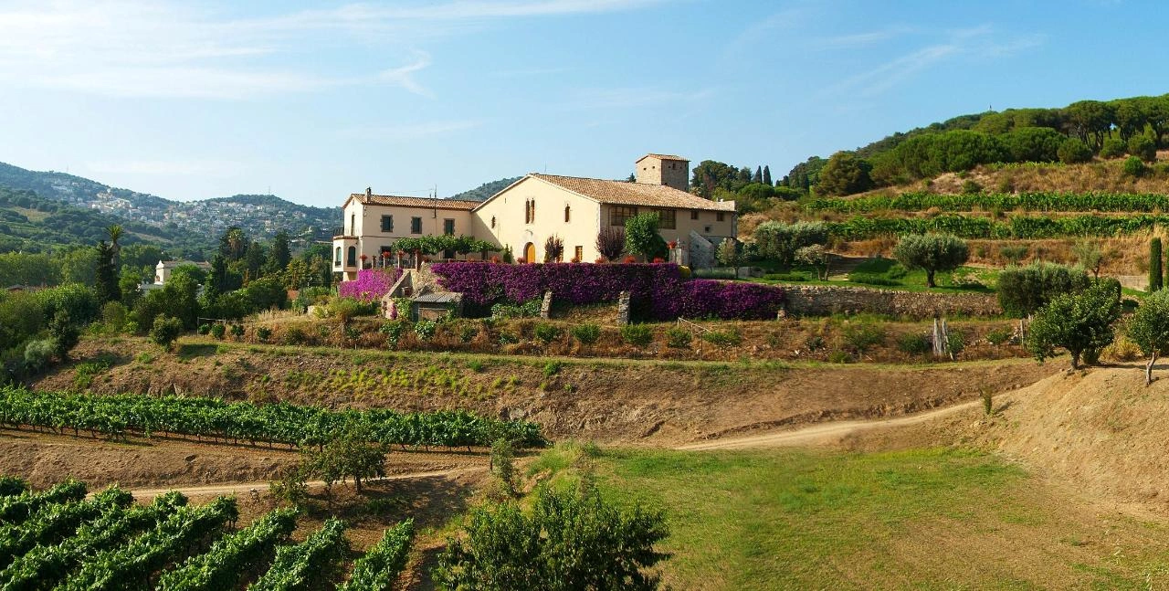 View of vineyard in Alella wine region on a sunny day