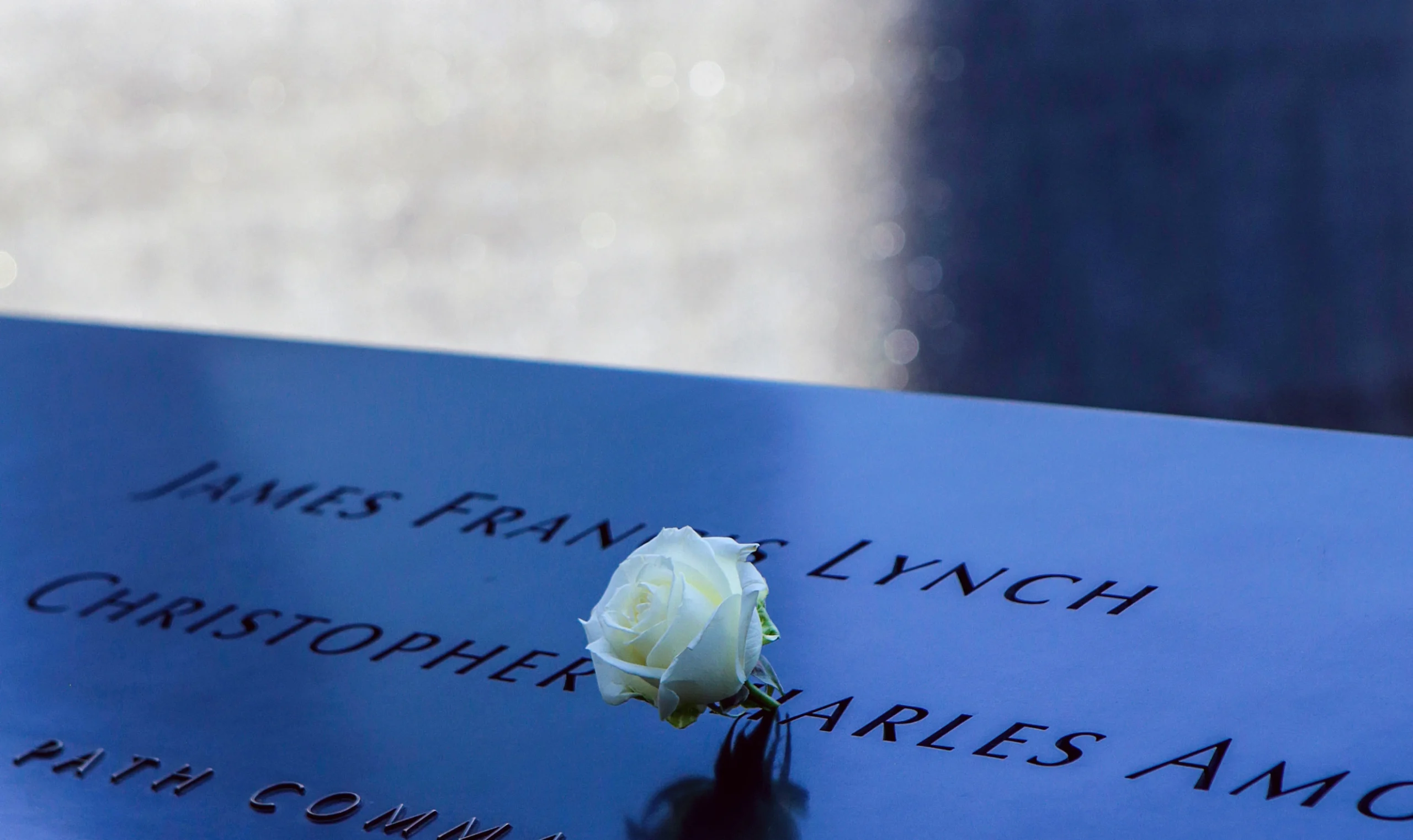 White rose on 9/11 Memorial during premium walking tour in NYC
