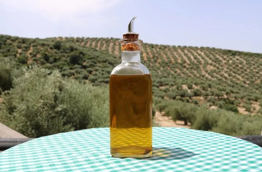 Bottle of olive oil and the groves in the background during premium Olive Oil experience in Seville
