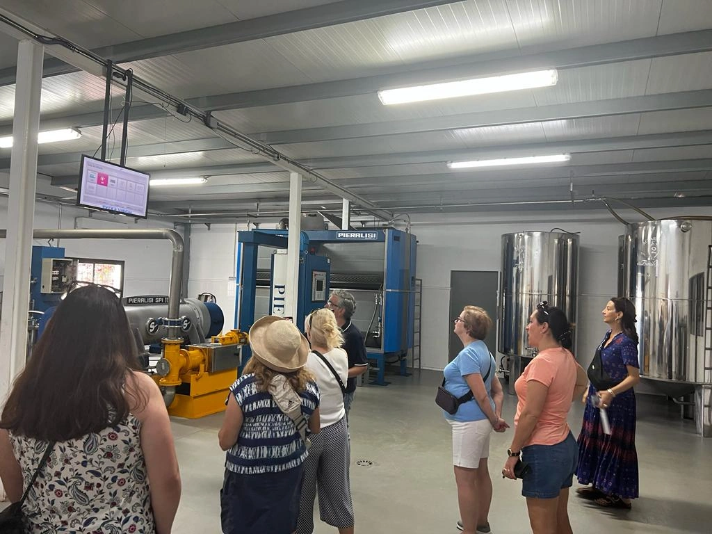 Guests enjoying the process during Olive Oil experience