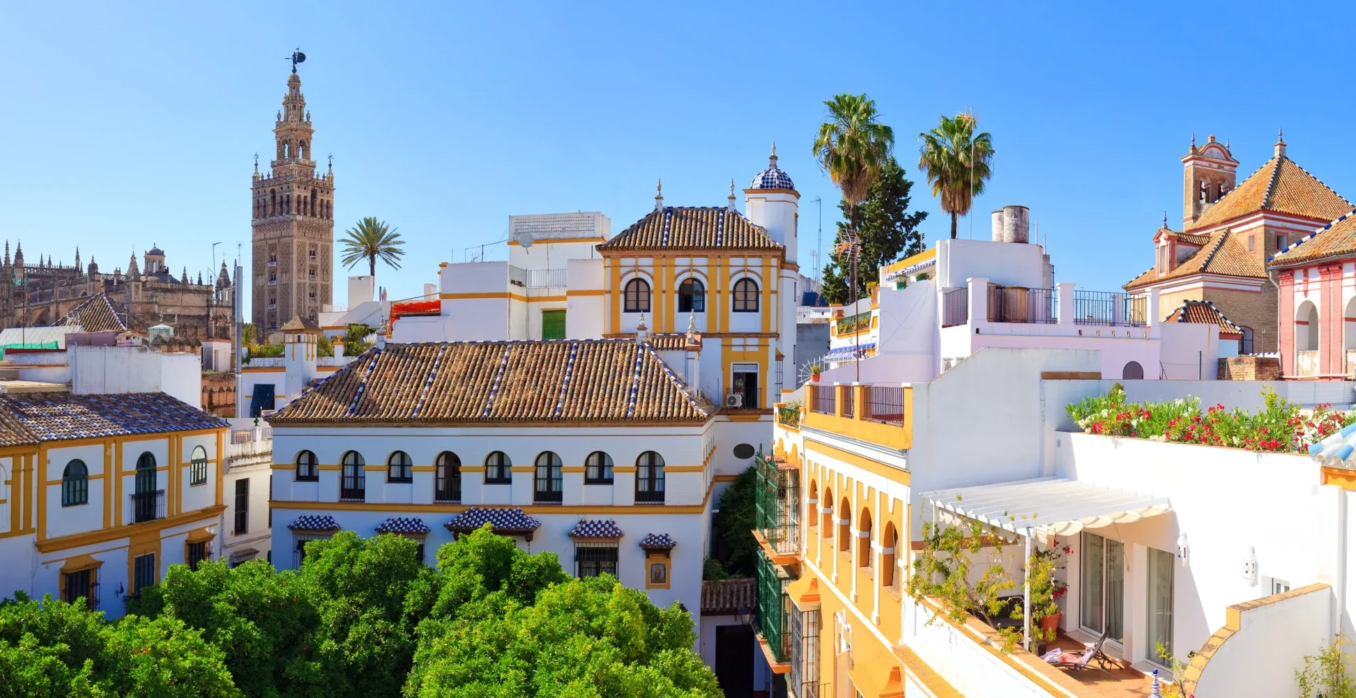 Views of Seville during private half-day tour