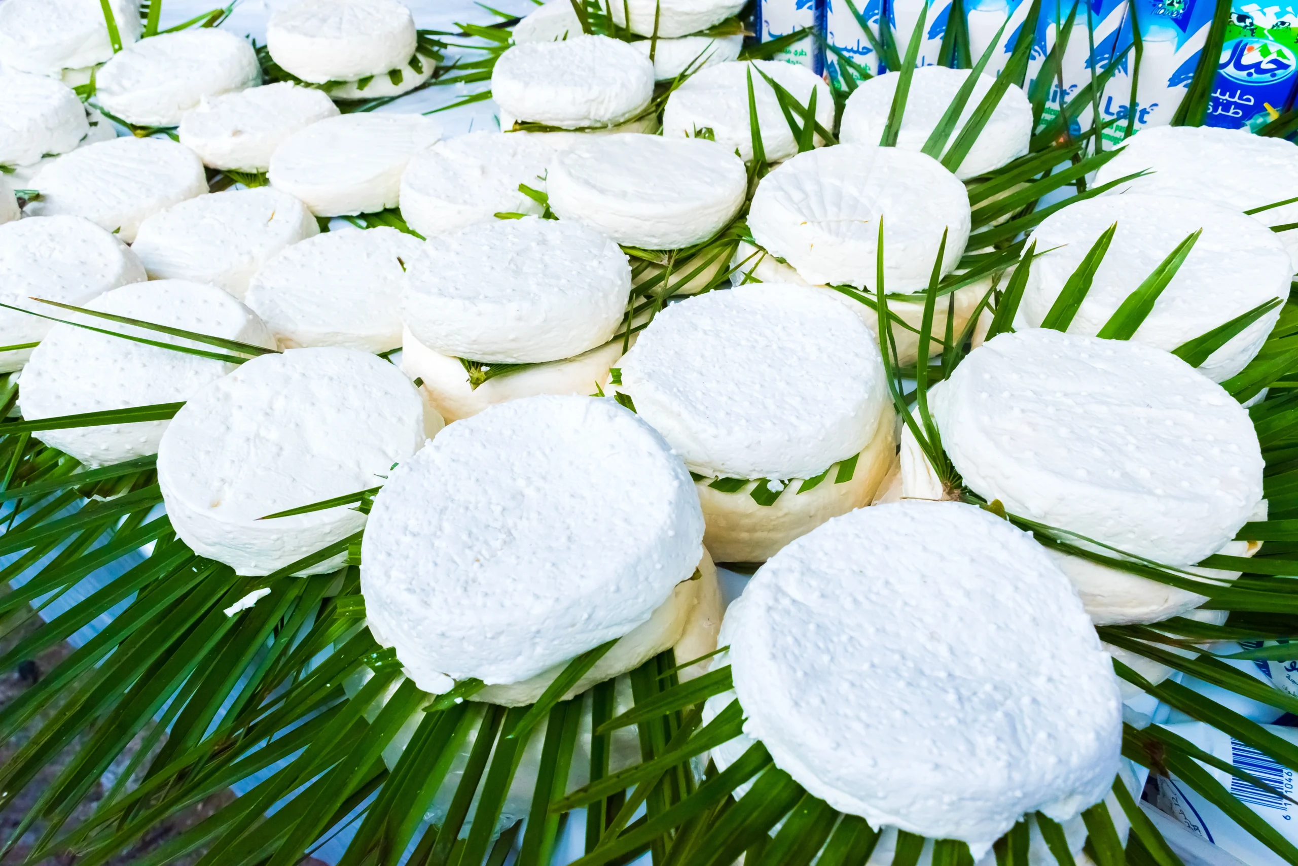 Close up of Moroccan Goat white cheese