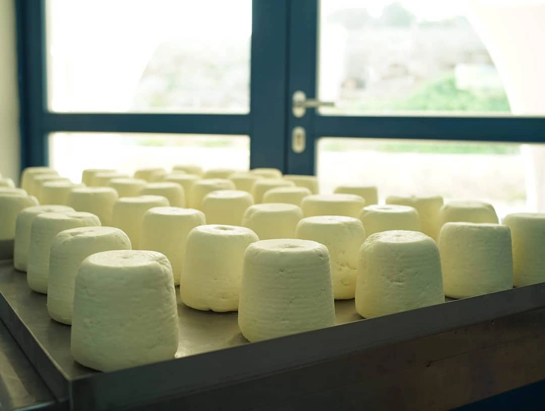 Close up of cheese on tray