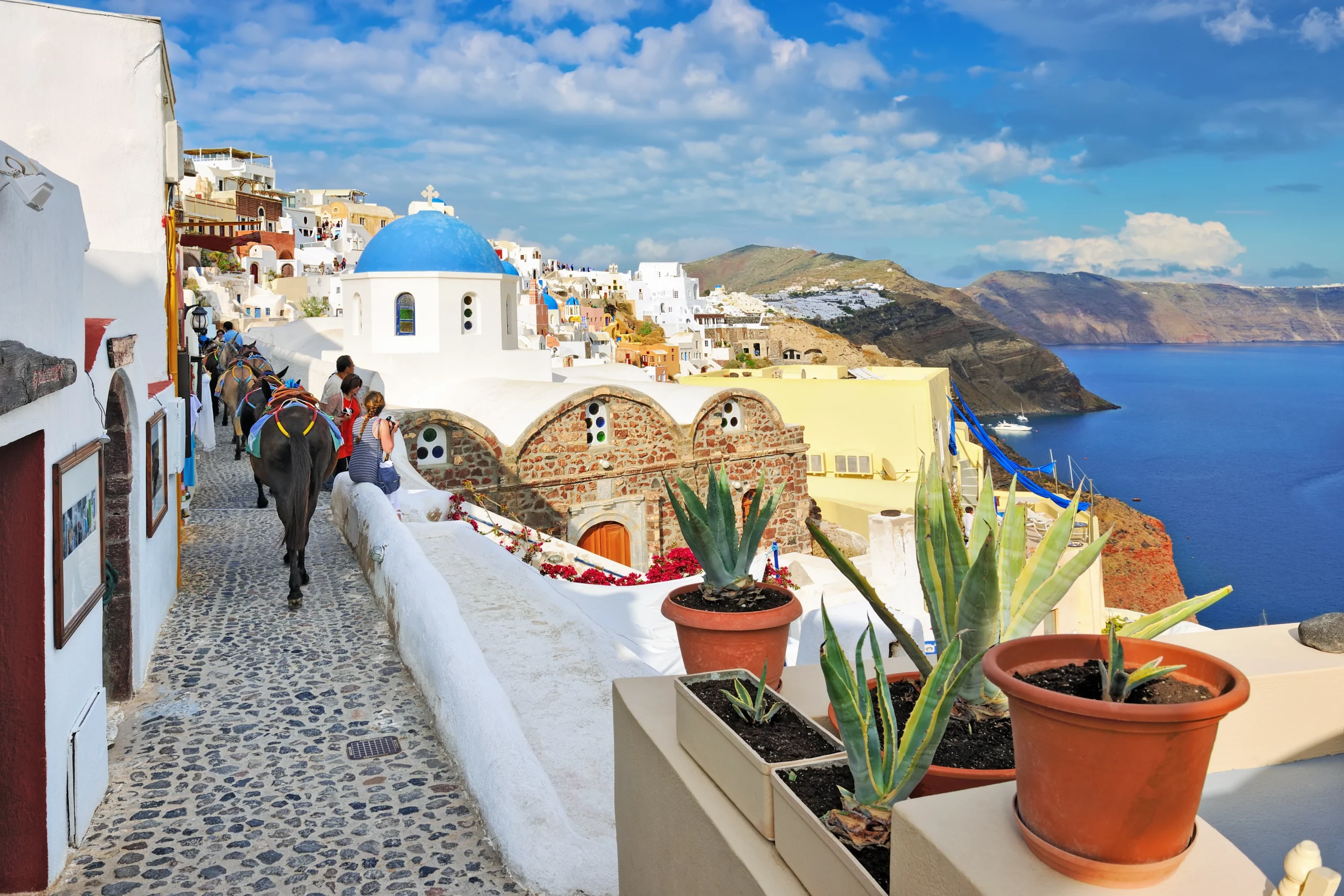 Donkeys climbing a narrow lane in Oia
