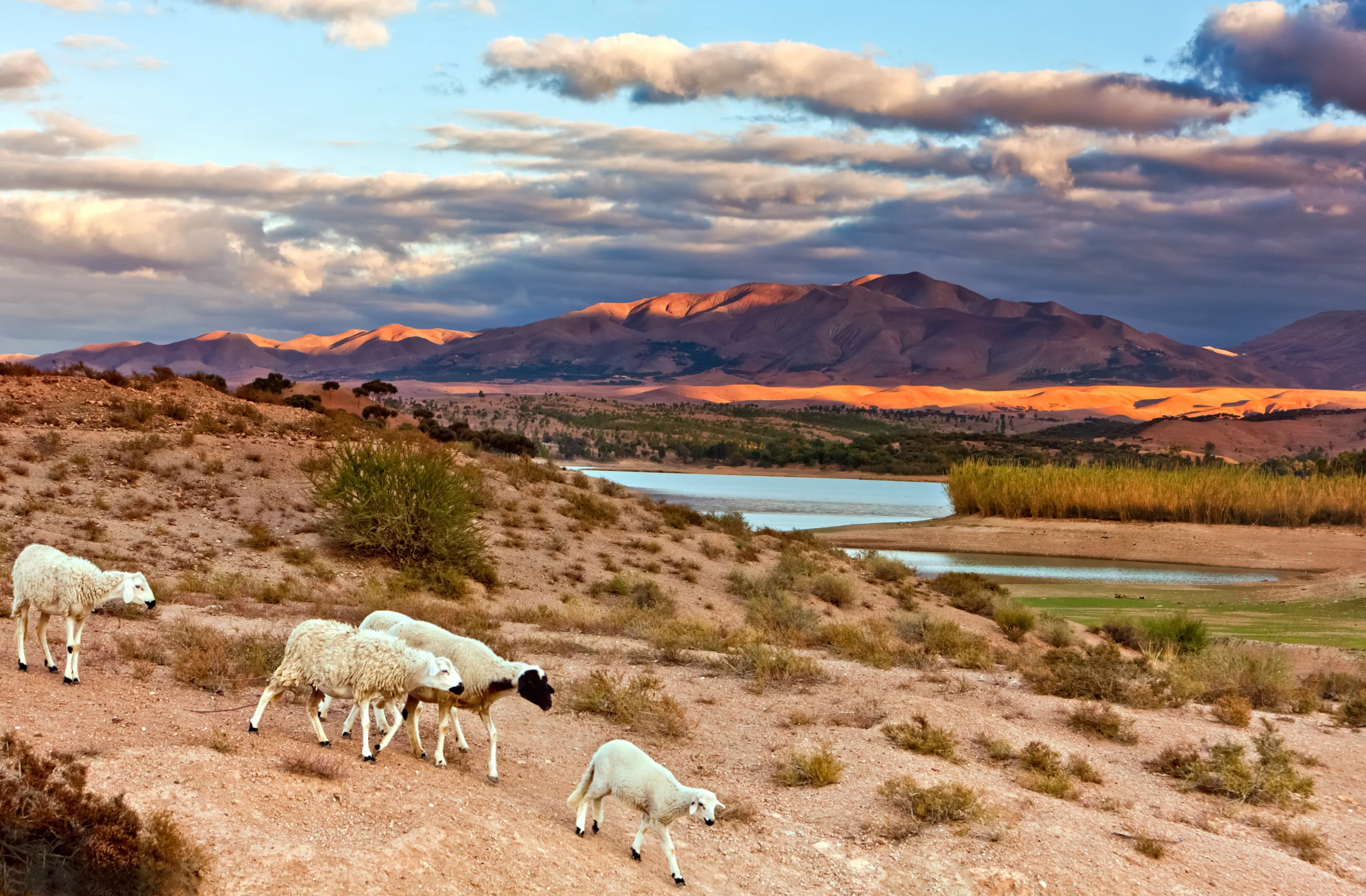 Lake Takerkoust in Marrakech, Morocco