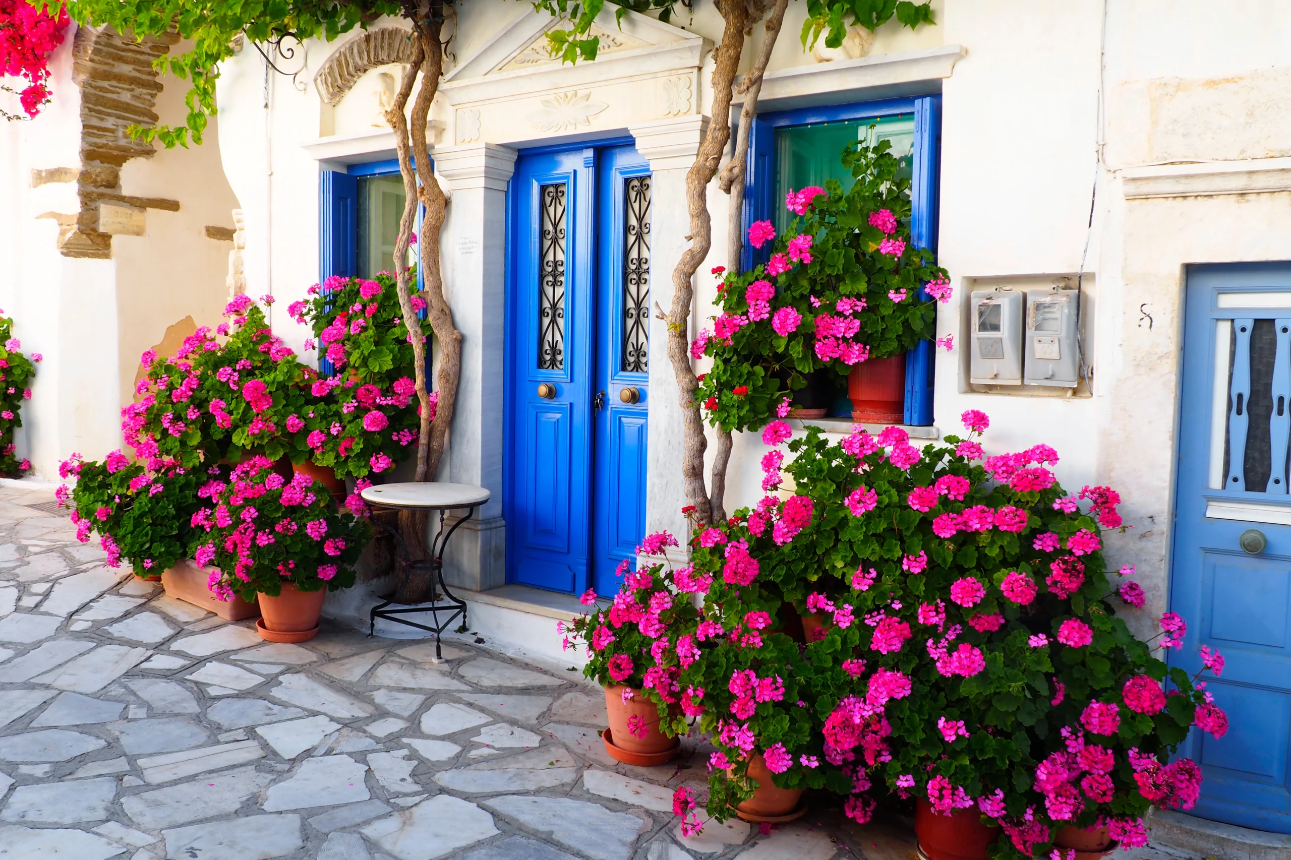 Narrow cobbled streets with white houses and flowers in Pyrgos during premium Wine Tasting Experience in Santorini