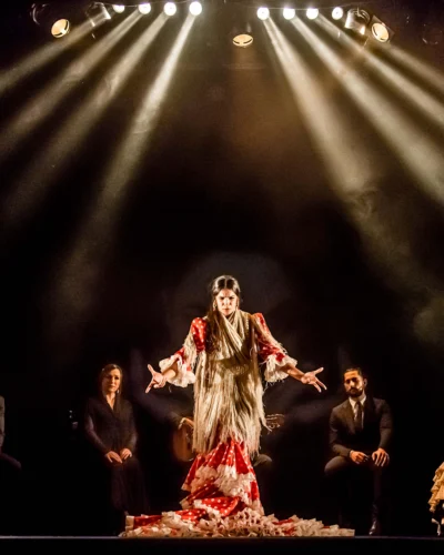 Still from live performance during Flamenco Dance Class & Performance in Madrid