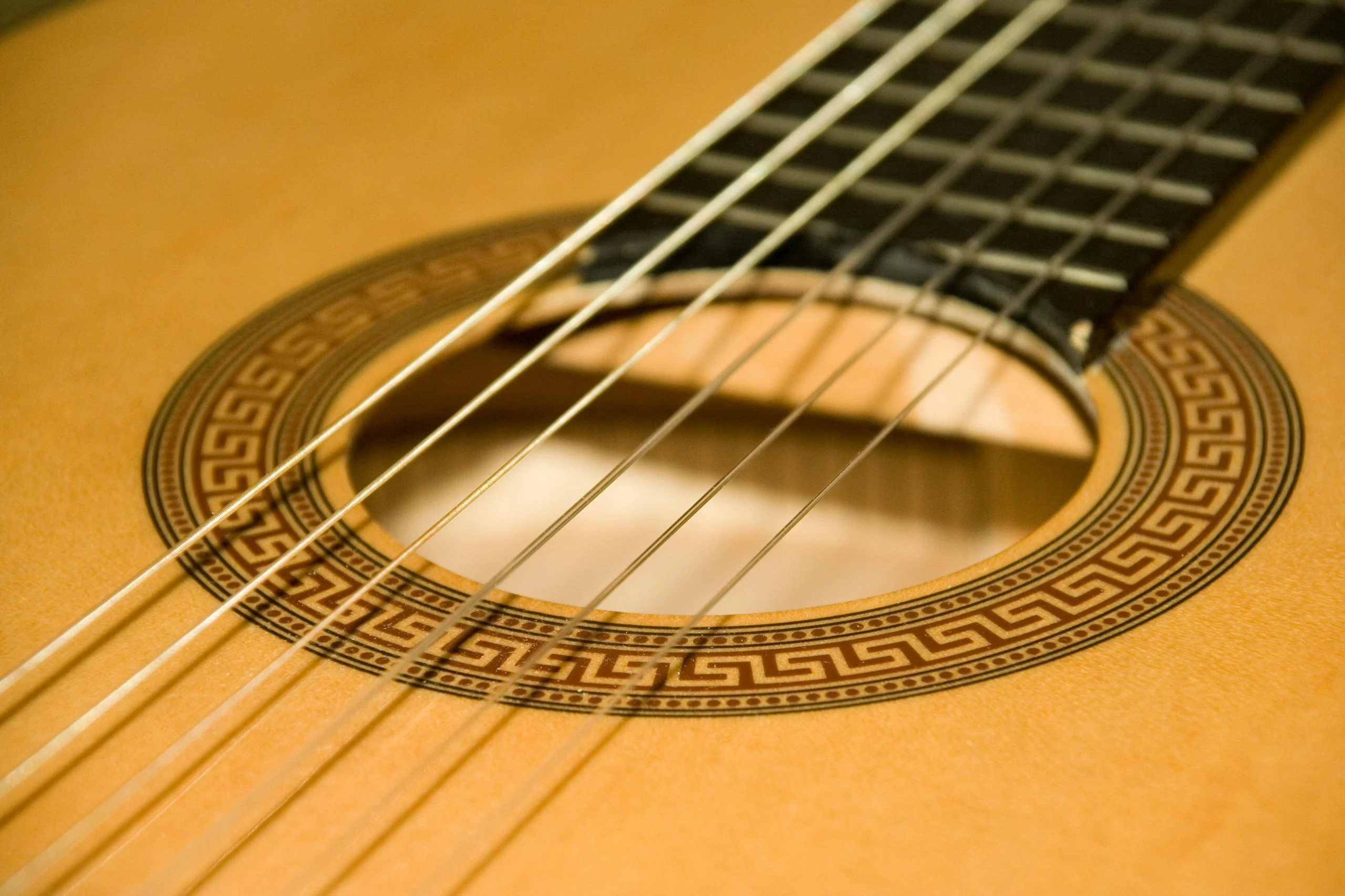 Close-up of Classical Acoustic Guitar Strings